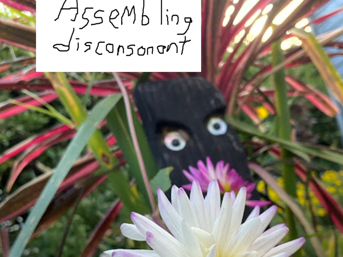 Assembling disconsonant