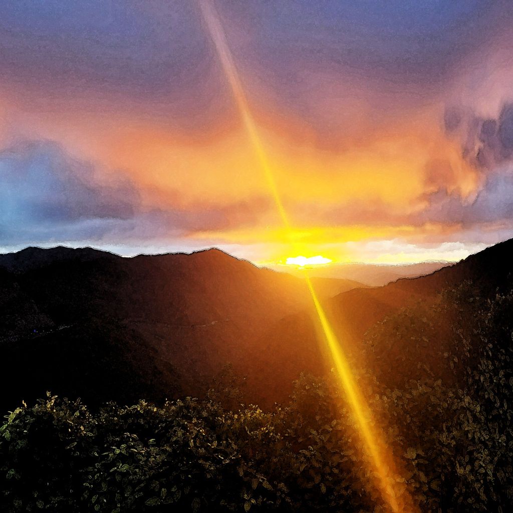 The Troubled Times:&nbsp;Elevate