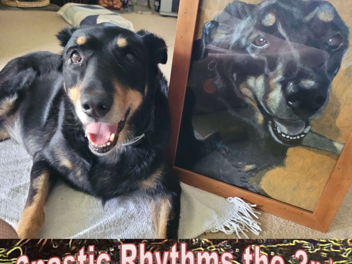 Spastic Rhythms the 3rd&nbsp;(2026)